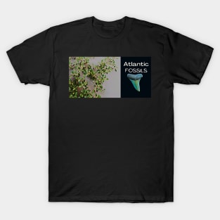 Beach Plants and Shark Teeth T-Shirt